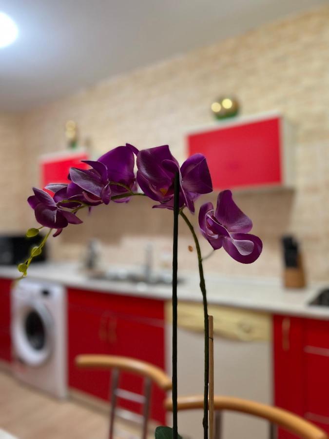Noreea Appartement Timişoara